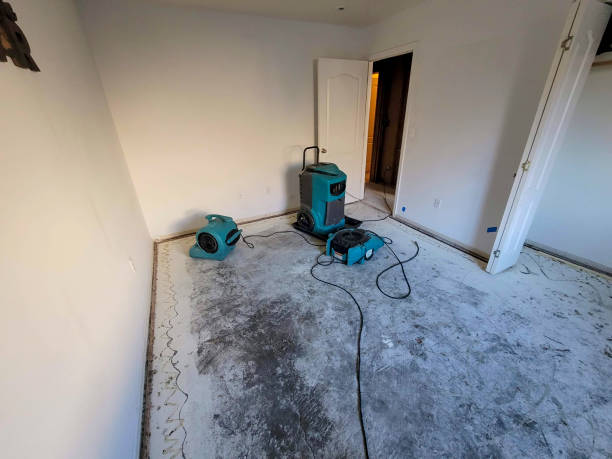 Best Water damage restoration insurance claims  in Ridgecrest, CA