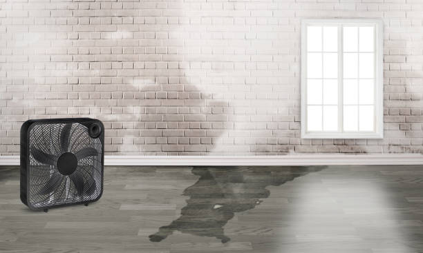 Best Water damage restoration insurance claims  in Ridgecrest, CA