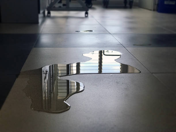 Best Local water damage restoration  in Ridgecrest, CA