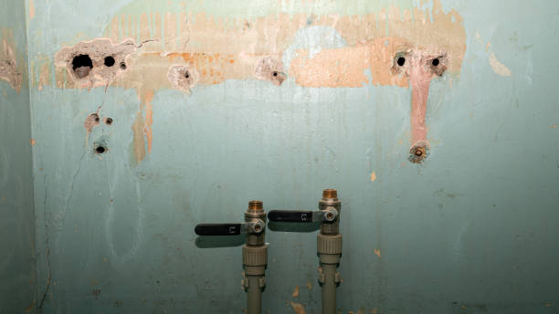 Best Mold removal after water damage  in Ridgecrest, CA