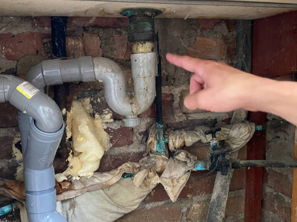 Best Water damage restoration near me  in Ridgecrest, CA